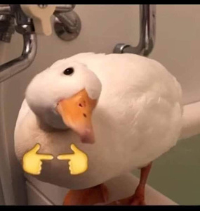 Porn channel image